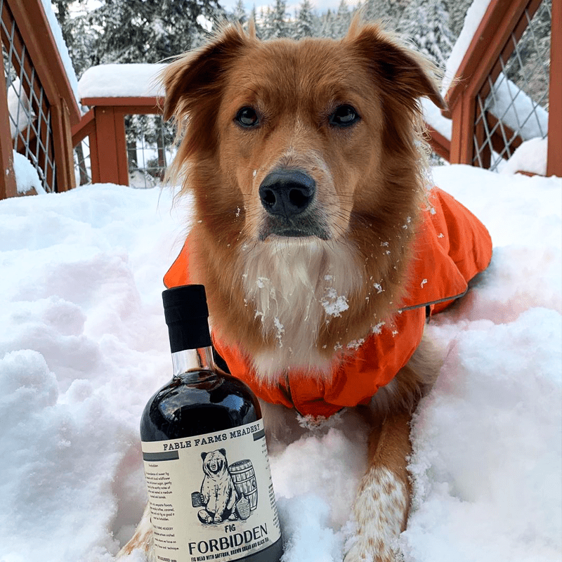 dog in snow with bottle of mead